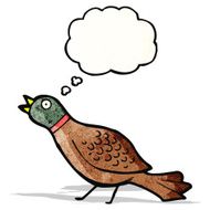 cartoon partridge
