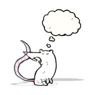 Cartoon Rat N24