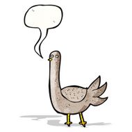 Cartoon Pigeon N18