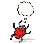 Cartoon Ladybug N65