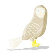 Cartoon Owl N79