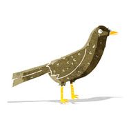 Cartoon Bird N105