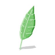 Cartoon Leaf N48