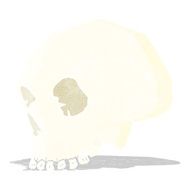skull illustration N3