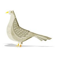 Cartoon Bird N106