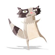 Cartoon Raccoon N18