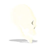 skull illustration N4