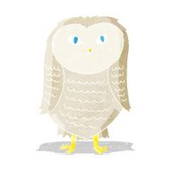 Cartoon Owl N81