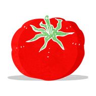 Cartoon Tomato N24