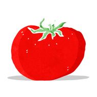 Cartoon Tomato N25