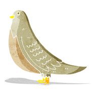 cartoon common bird