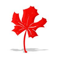cartoon red maple leaf