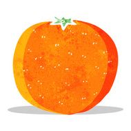 Cartoon Orange N11