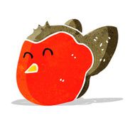 cartoon robin N42