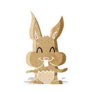 Cartoon Rabbit N53
