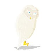 Cartoon Owl N83