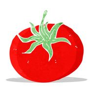 Cartoon Tomato N27
