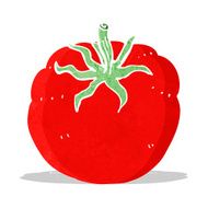 Cartoon Tomato N31