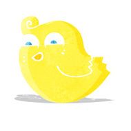 cartoon funny bird N3