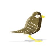 cartoon garden bird N4