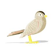 cartoon garden bird N5
