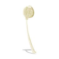 cartoon dried poppy