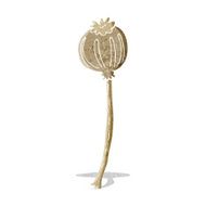cartoon dried poppy N3