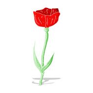 cartoon poppy