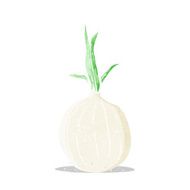 Cartoon Onion N10