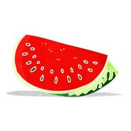 Cartoon Watermelon Slice N8