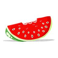 Cartoon Watermelon Slice N9