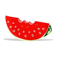 Cartoon Watermelon Slice N10