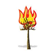 Cartoon Tree On Fire N2