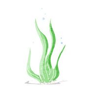 Cartoon Seaweed N25