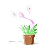cartoon orchid plant