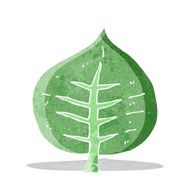 Cartoon Leaf N49