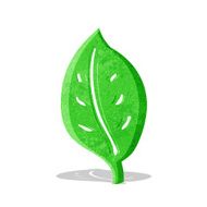 Cartoon Leaf N50