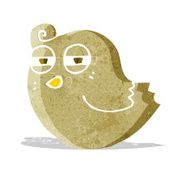 funny cartoon bird N46