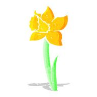 cartoon daffodil N2