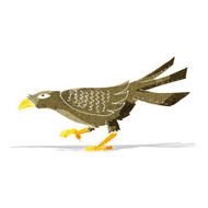 Cartoon Bird N125