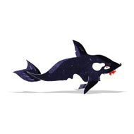 Cartoon Killer Whale N5