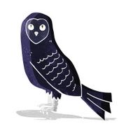 Cartoon Owl N89