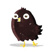 funny cartoon bird N50