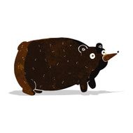 funny cartoon bear N24