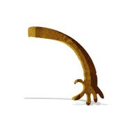 cartoon arm N23