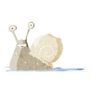 Cartoon Snail N65