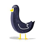 Cartoon Bird N140