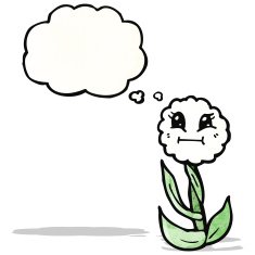 retro cute flower with thought bubble