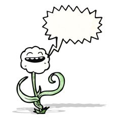 cartoon flower with speech bubble N67