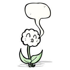 cartoon flower with speech bubble N68